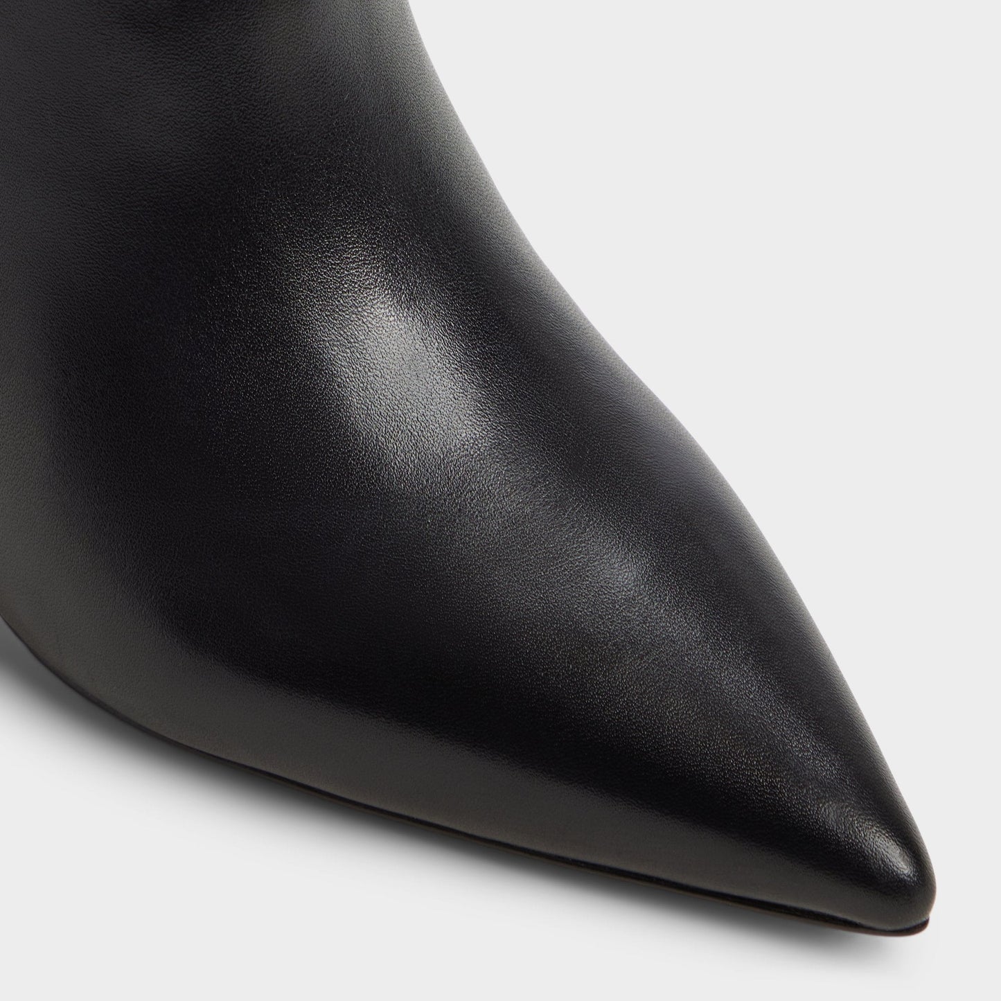 Aldo Saphiria in Black - Knee-high boot, Stiletto heel Women