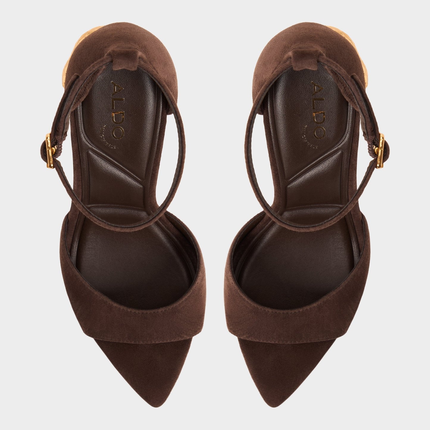 Aldo Medeza in Dark Brown - Strappy heeled sandal Women|New