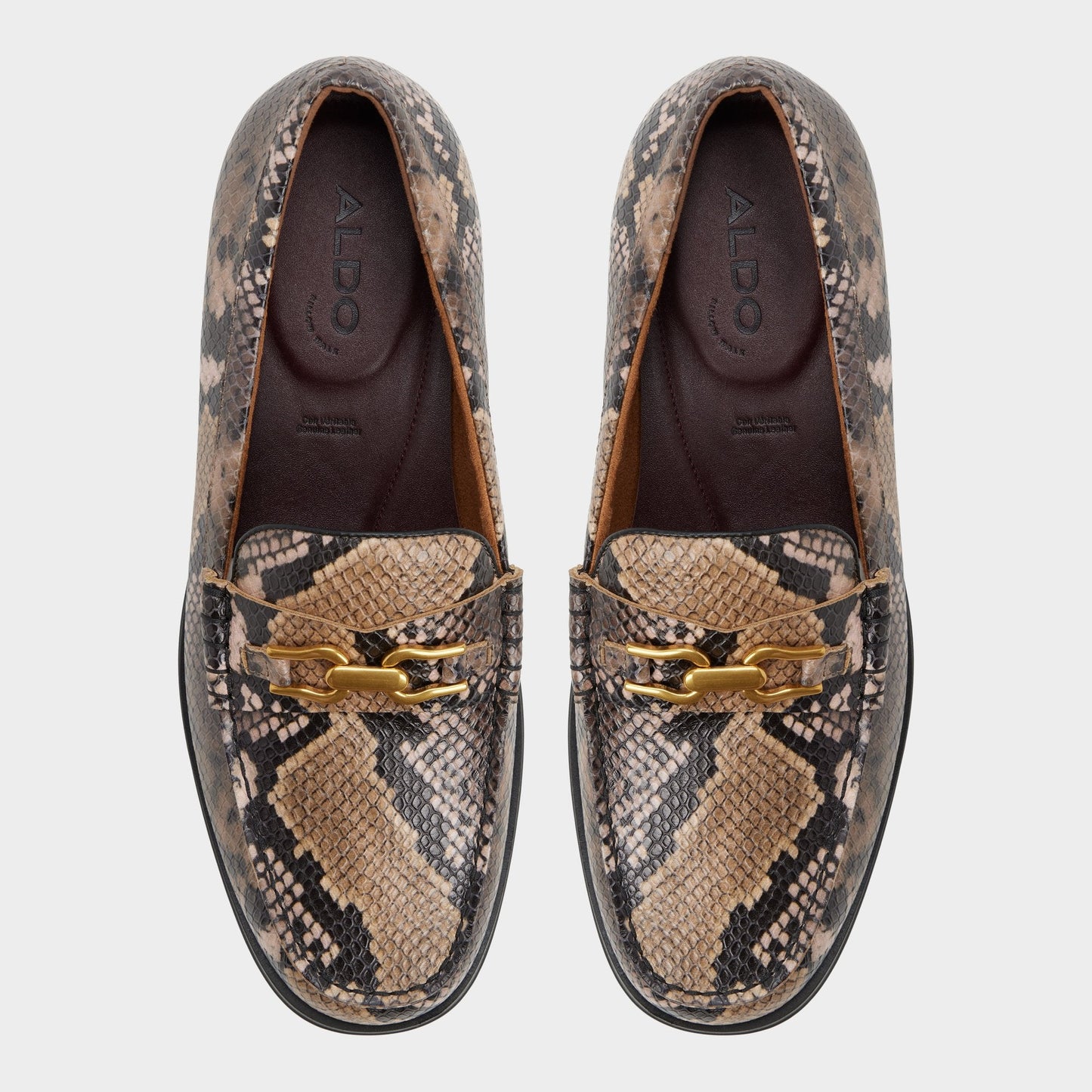 Aldo Edouard in Brown Multi - Loafer New|Men