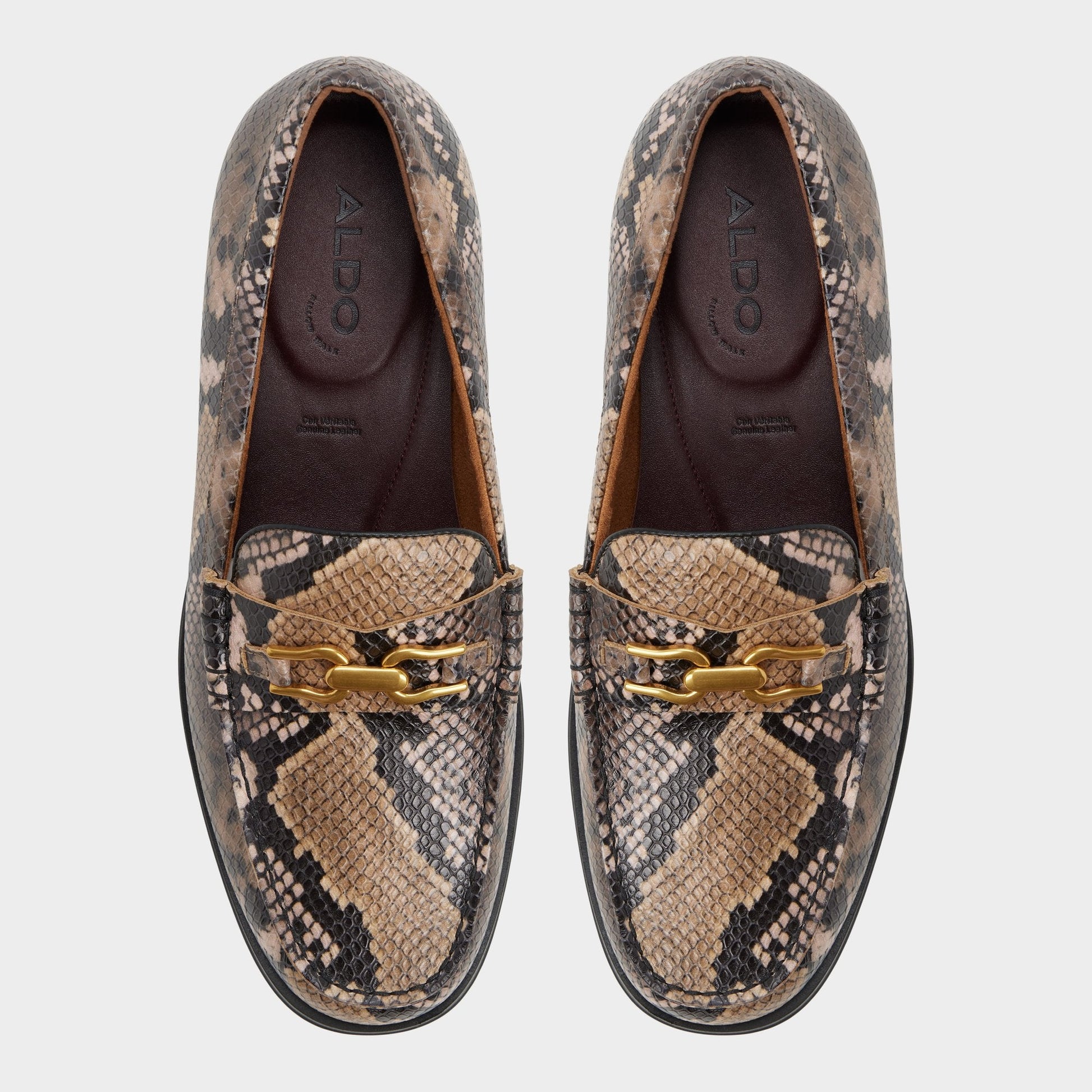 Aldo Edouard in Brown Multi - Loafer New|Men