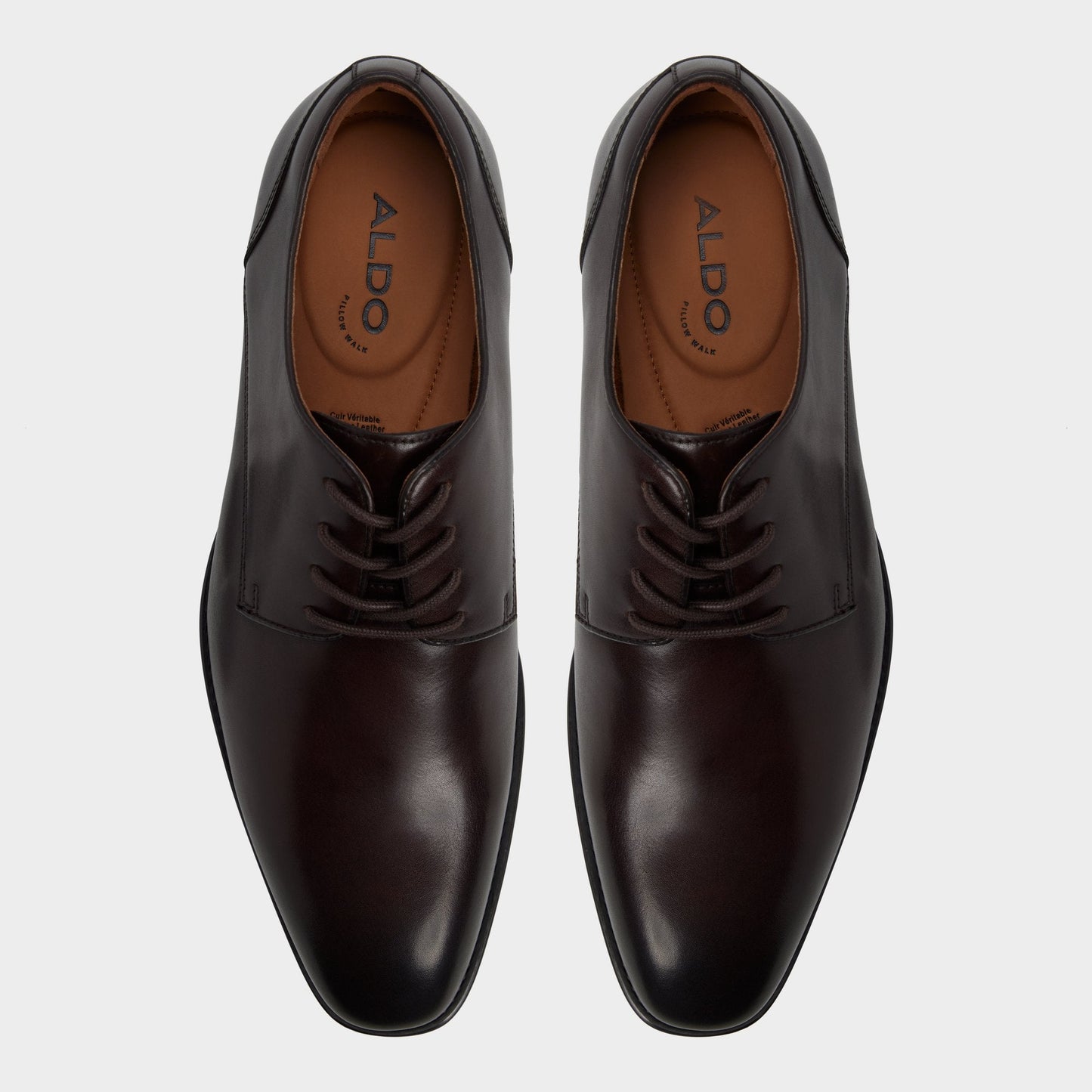 Aldo Allegro in Dark Brown - Oxford shoe New|Men