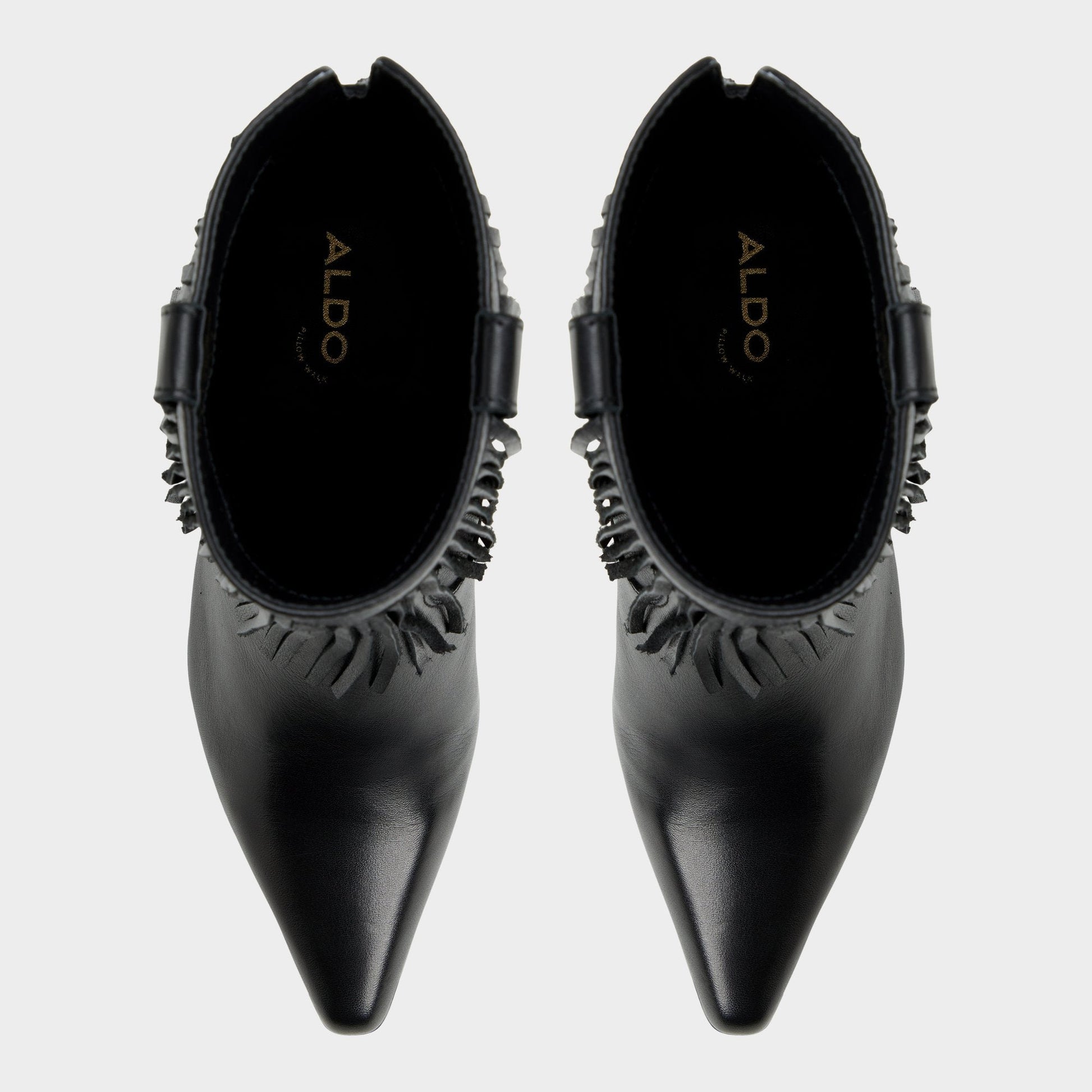 Aldo Jollene Black Women's Ankle boots - Ankle boot, Block heel Women