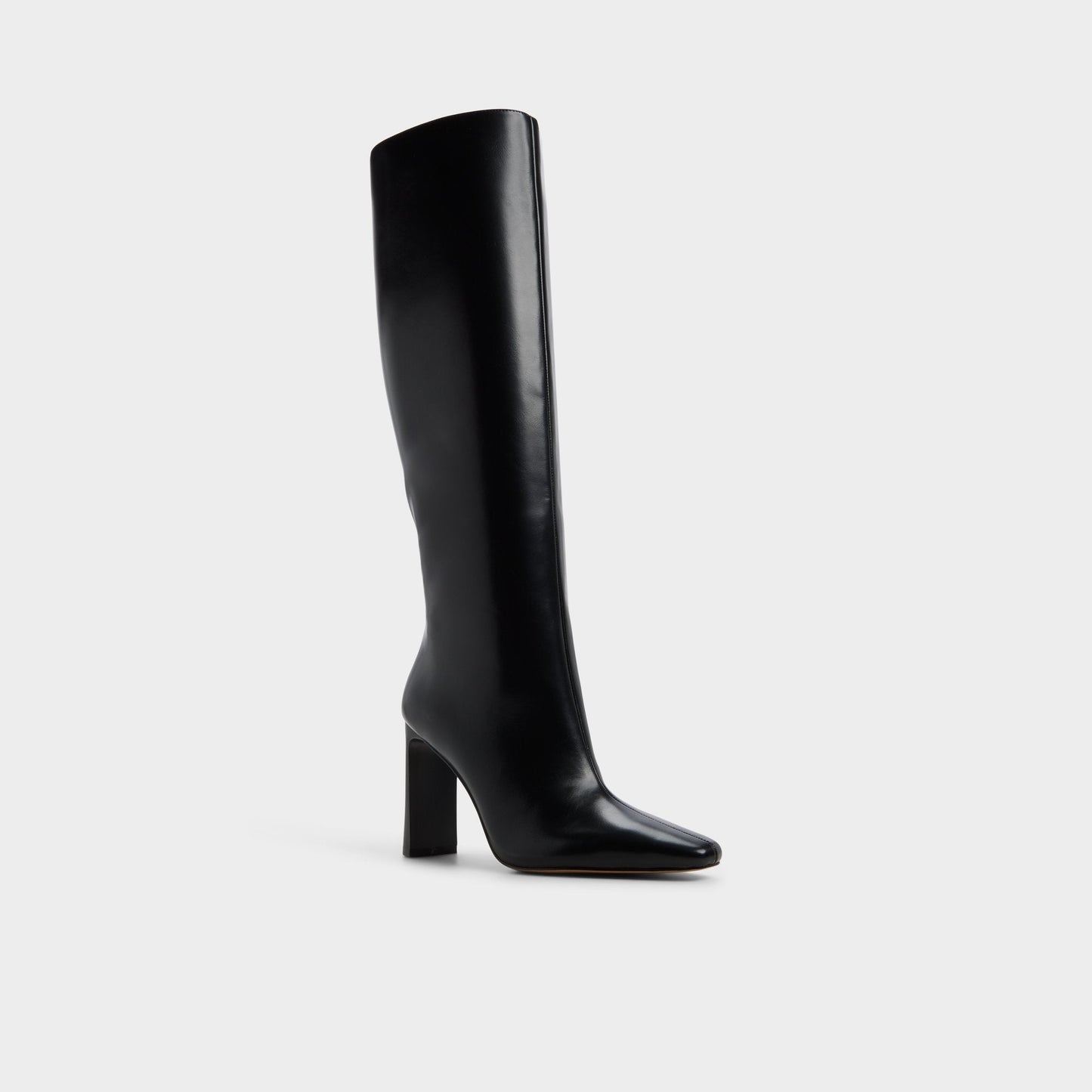 Aldo Elyne in Other Black - Knee-high boot Women
