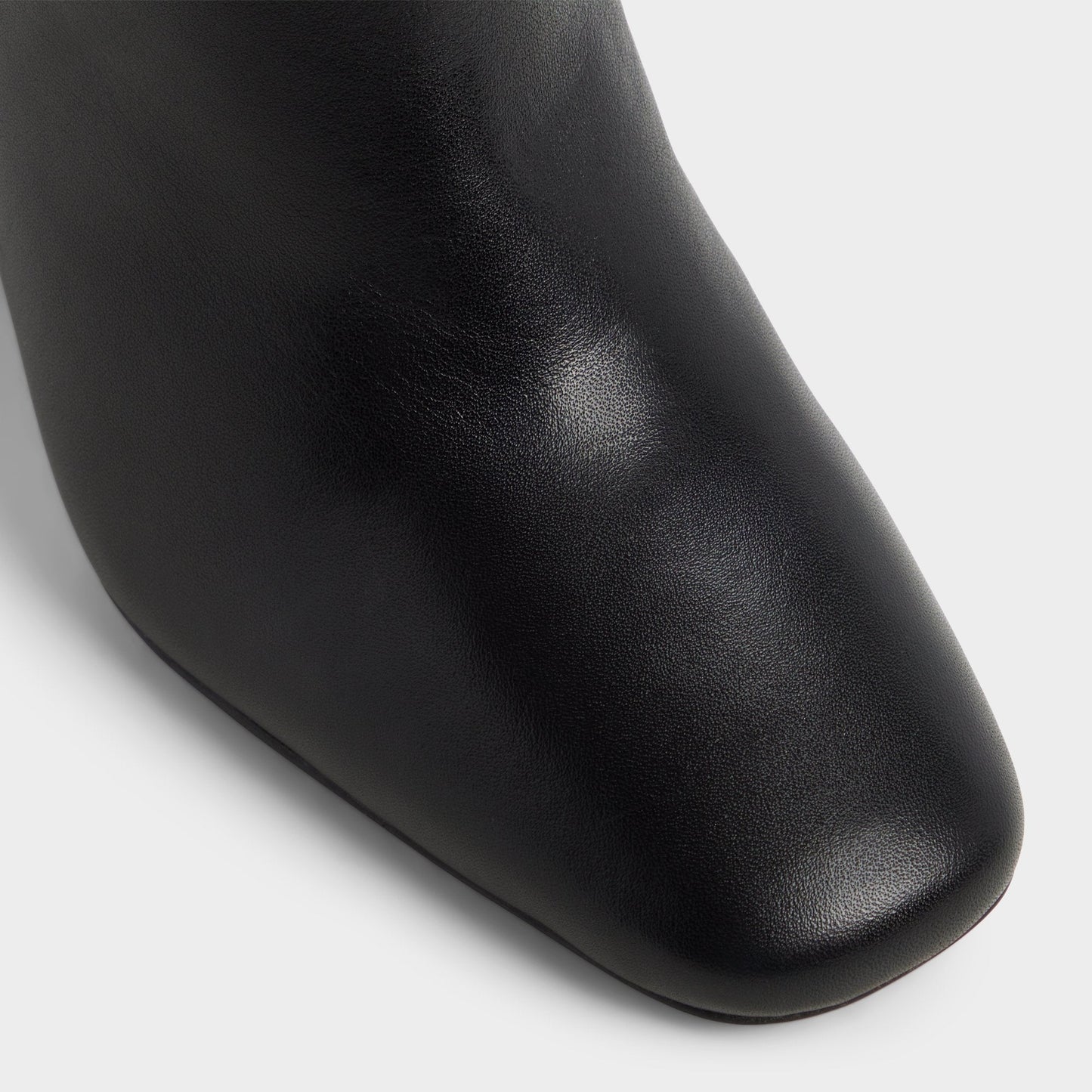 Aldo Helana in Black - Knee-high boot, Block heel Women|Bags