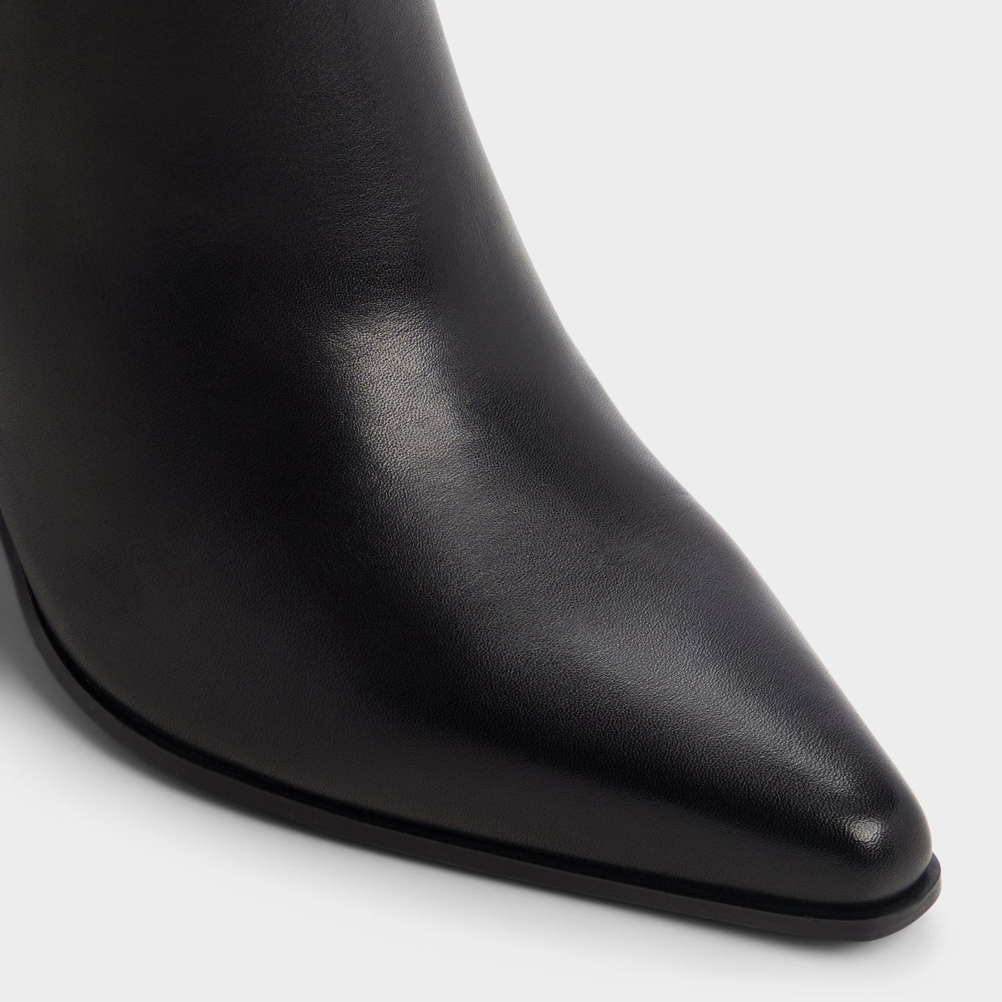 Aldo Kaelya in Black - Knee-high boot, Block heel Women