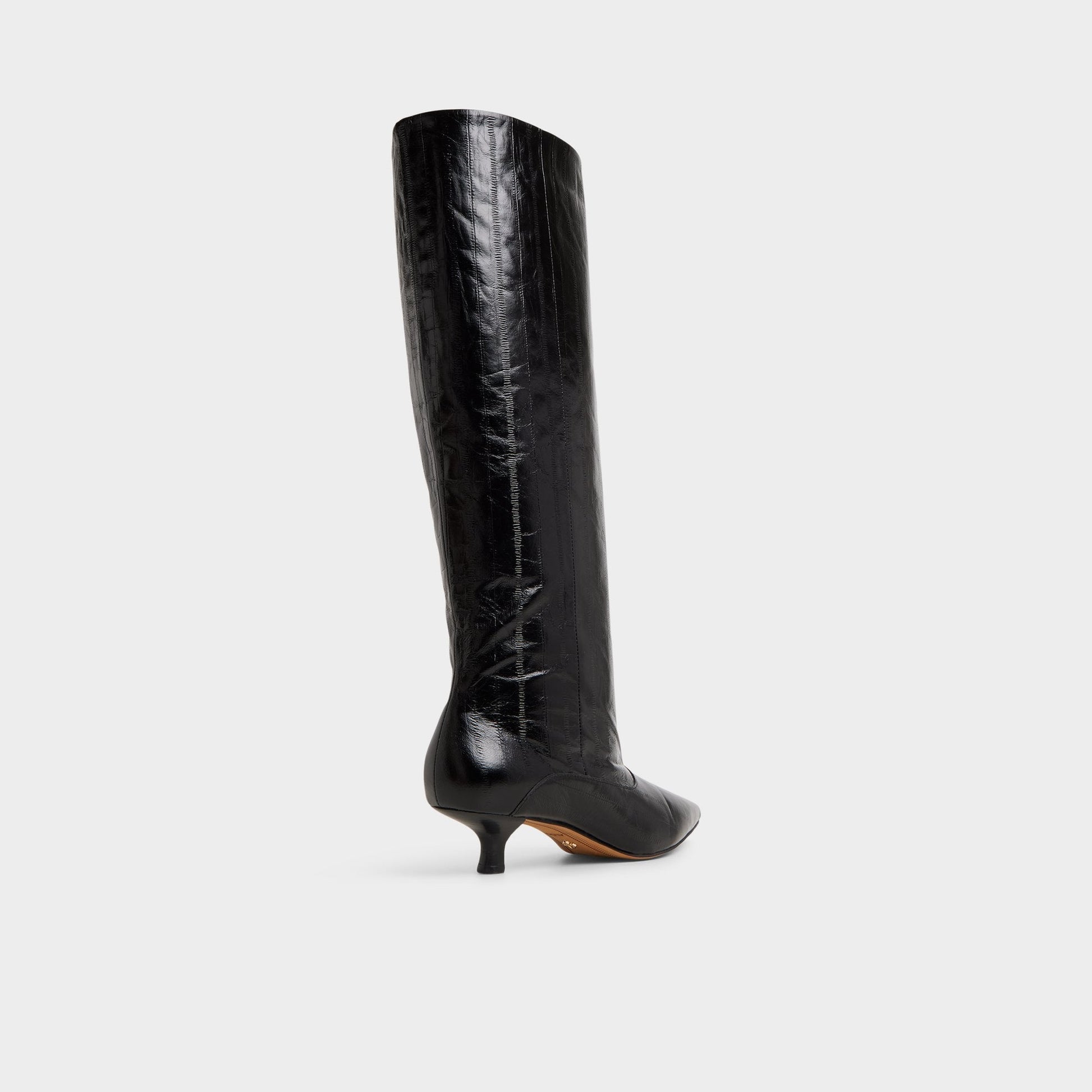 Aldo Everose in Black - Knee-high boot, Kitten heel Women