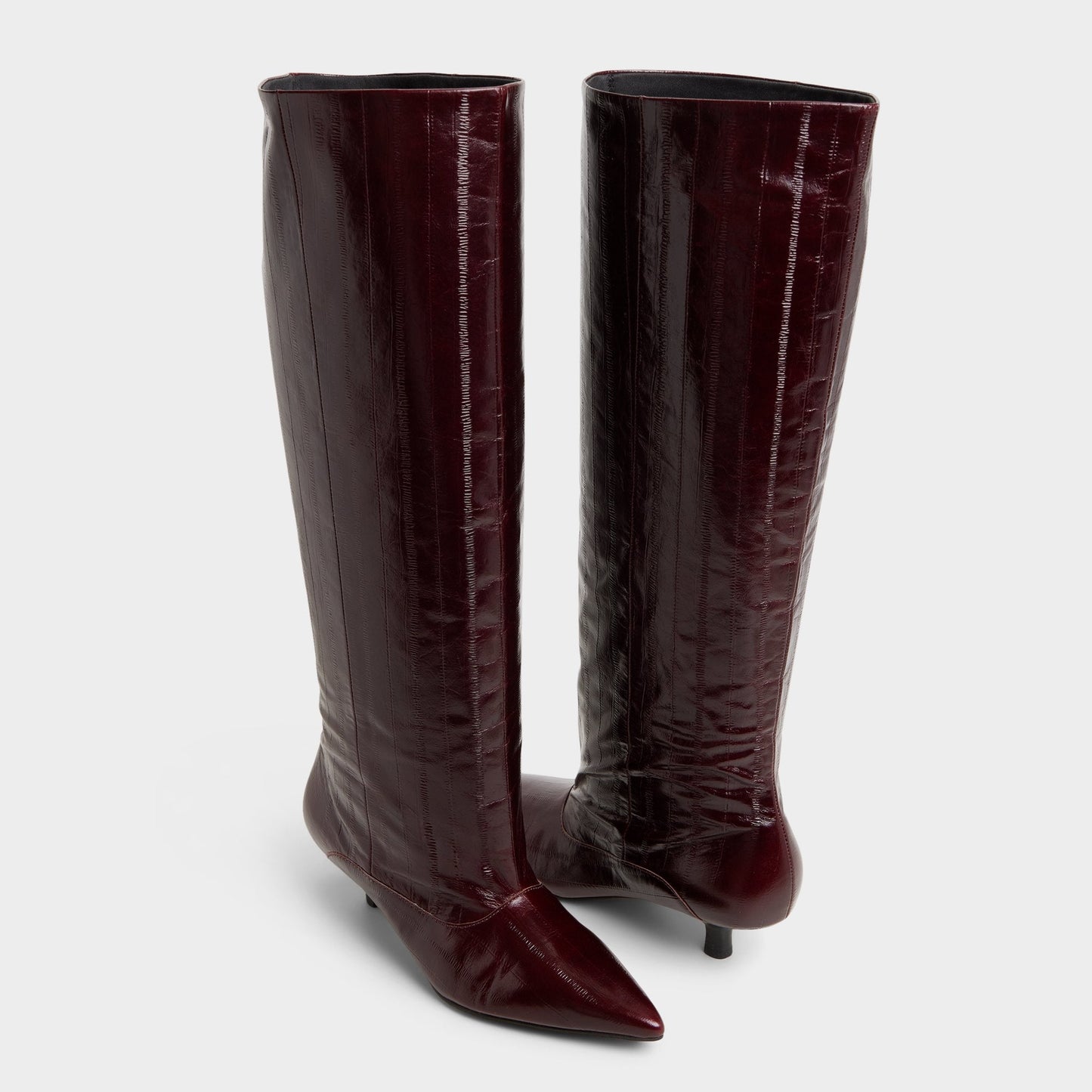Aldo Everose in Bordo - Knee-high boot, Kitten heel Women|Bags