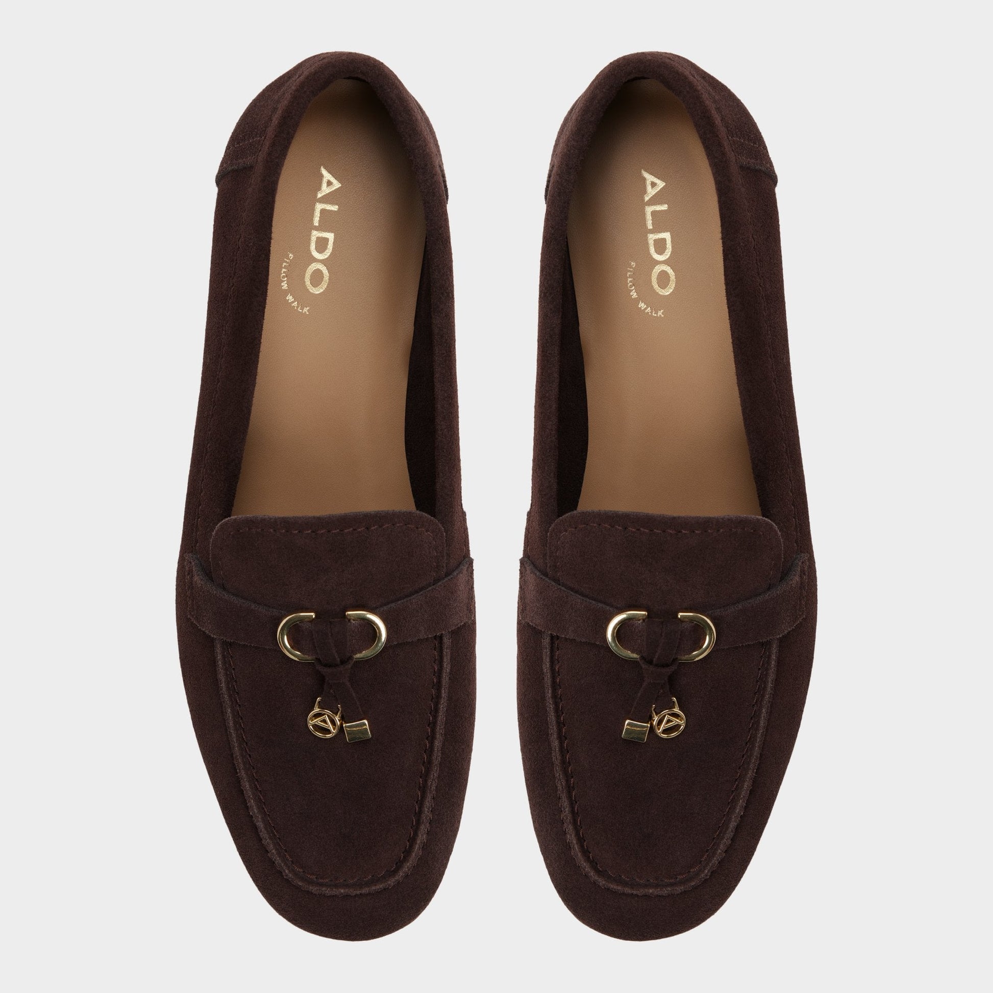 Aldo Ybilide in Dark Brown - Loafer Women