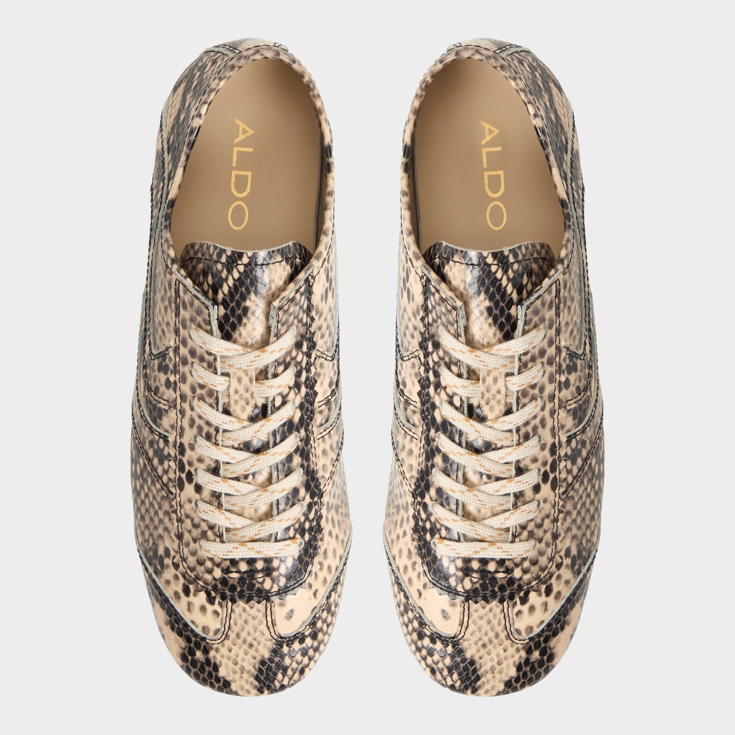 Aldo Adrelya in Tan Multi - Jogger sneaker, Jogger sole Women