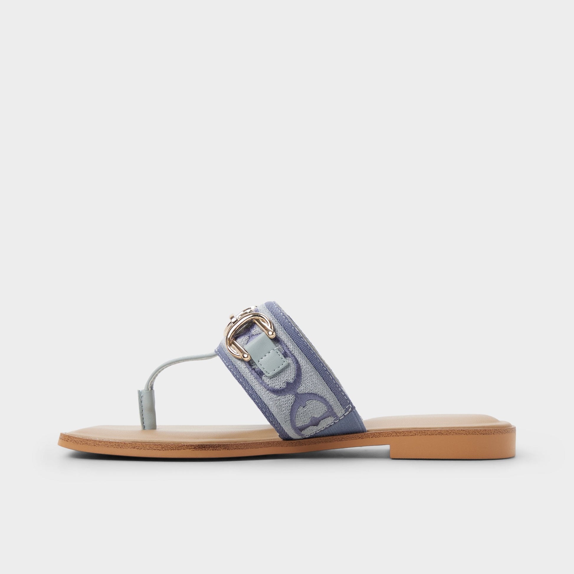 Aldo Coralynna in Other Blue - T-strap sandal Women