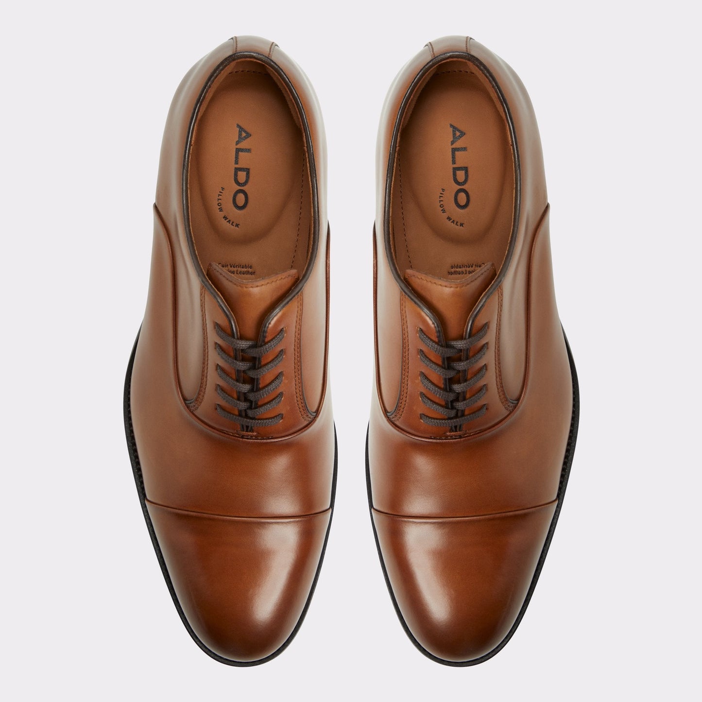 Aldo Lazio in Cognac - Oxford shoe Men