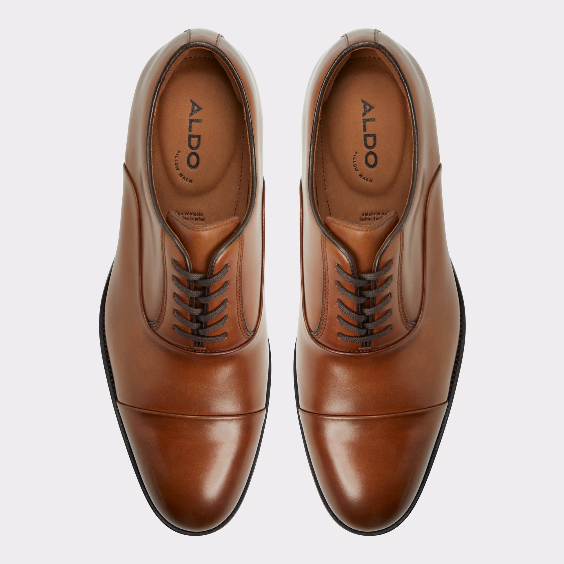 Aldo Lazio in Cognac - Oxford shoe Men