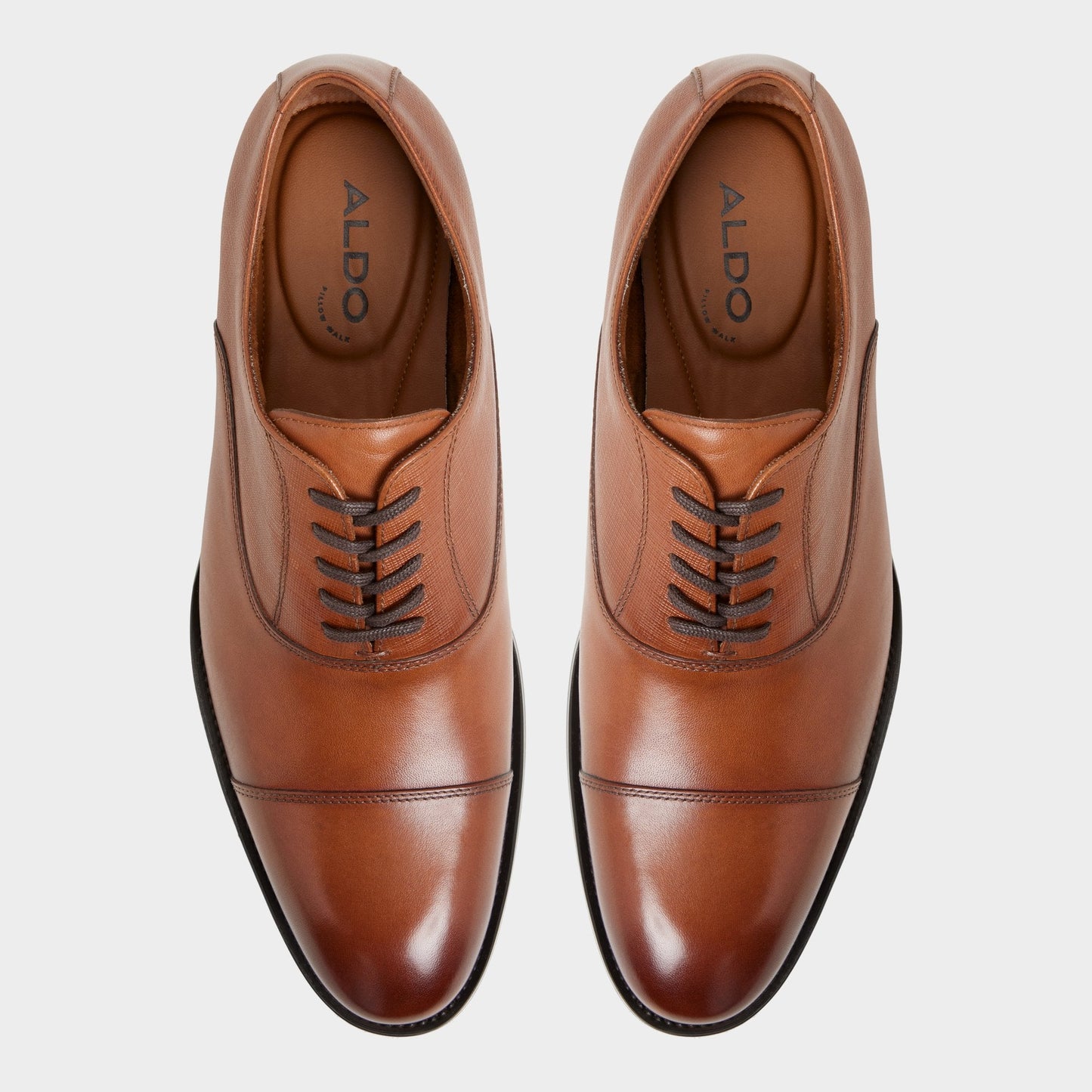 Aldo Reece in Cognac - Oxford shoe Men