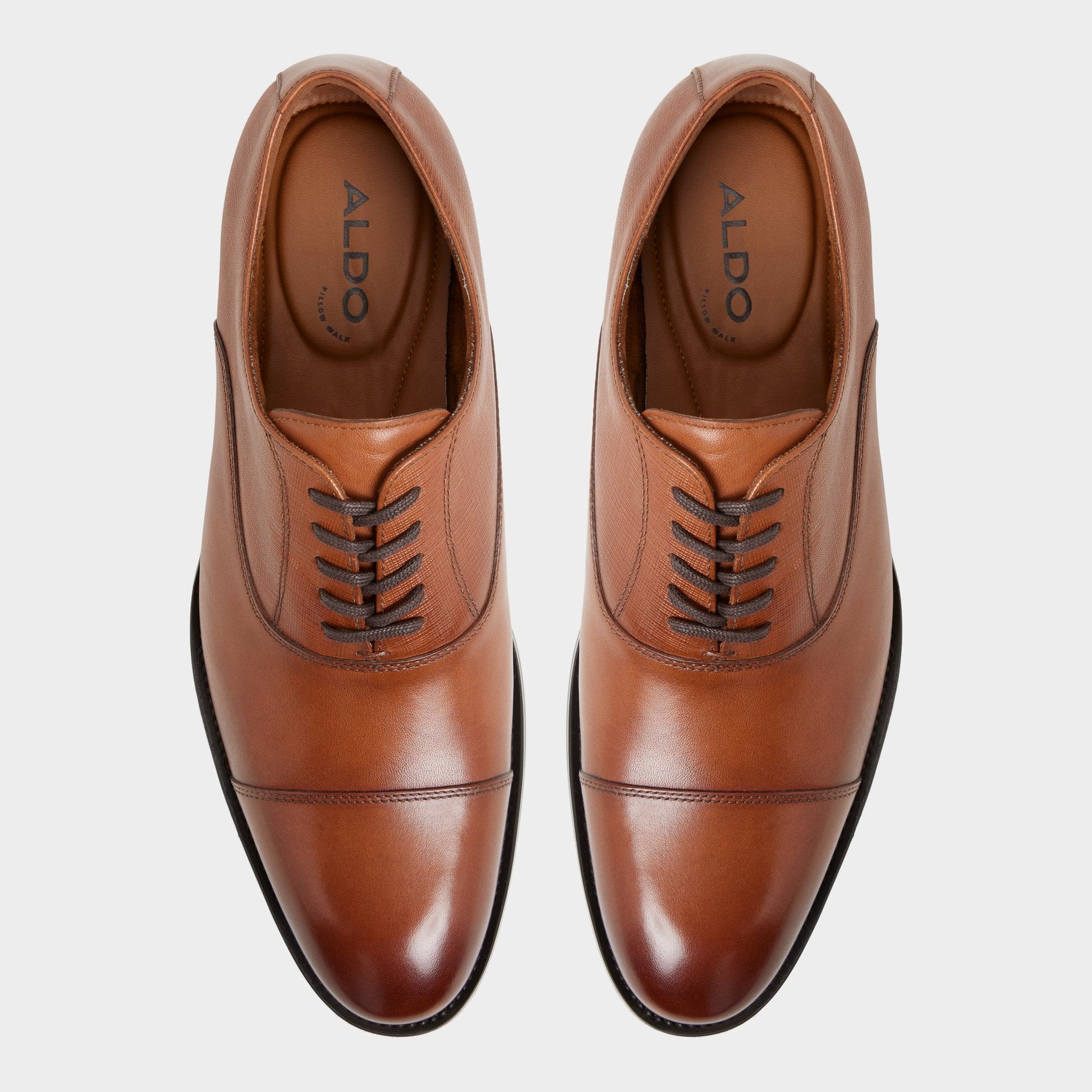 Aldo Reece in Cognac - Oxford shoe Men