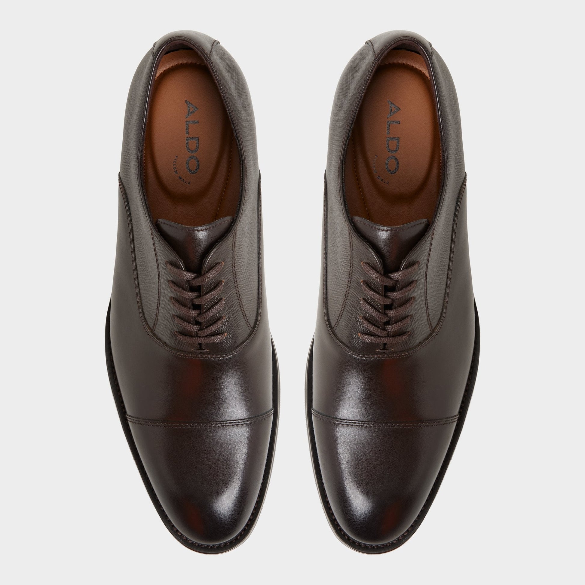 Aldo Reece in Dark Brown - Oxford shoe Men