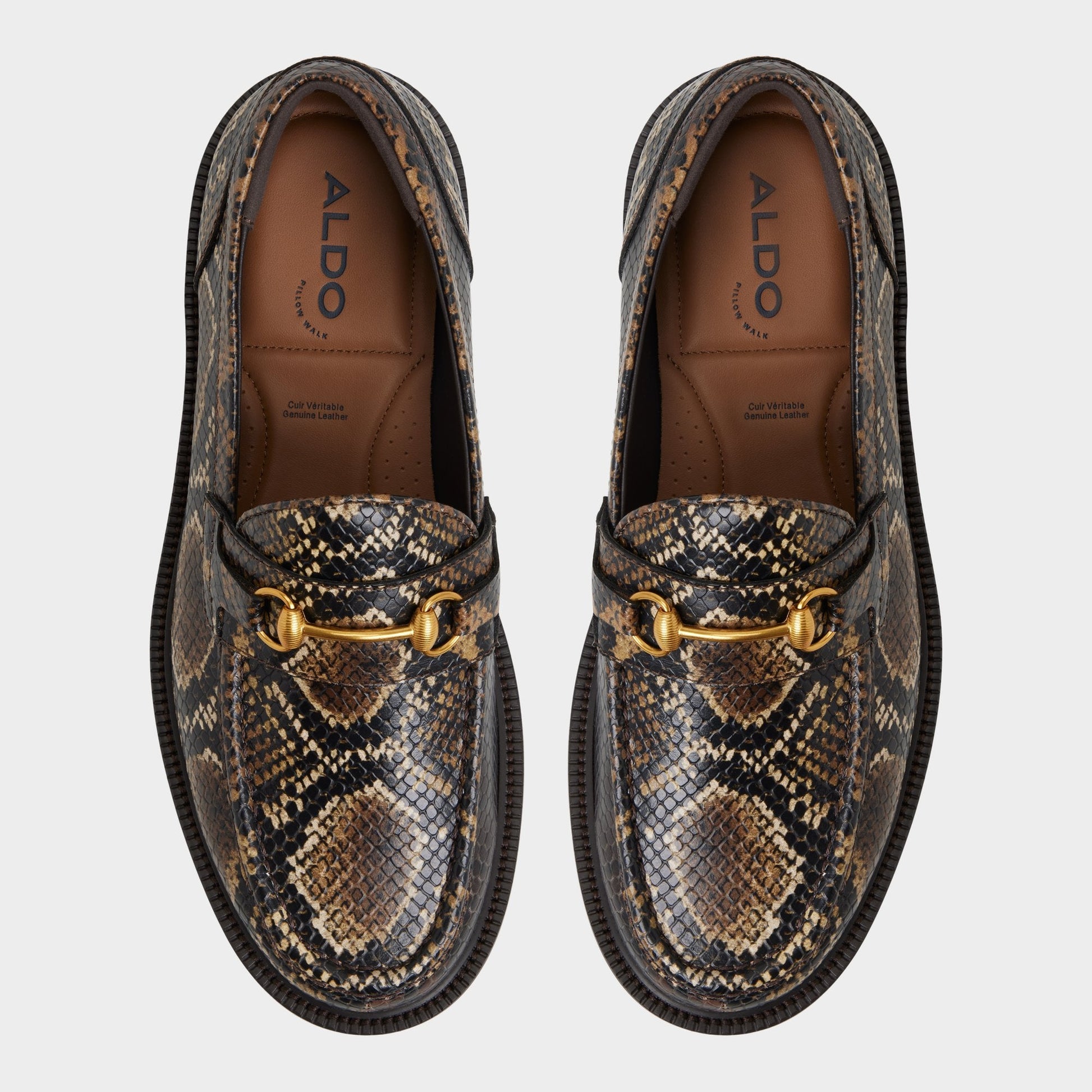 Aldo Arturo in Brown - Loafer Men