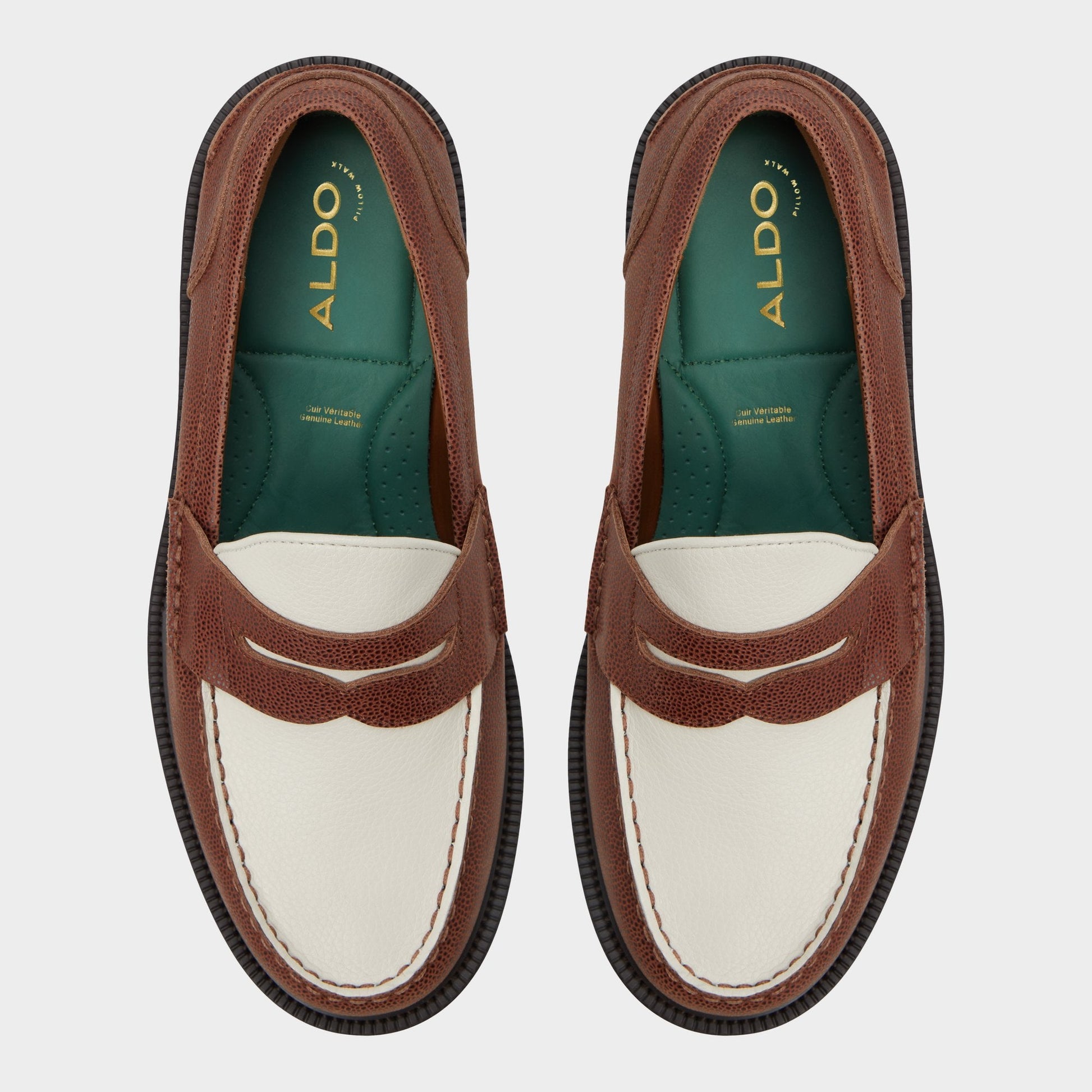 Aldo Buckley in Brown Overflow - Loafer Men