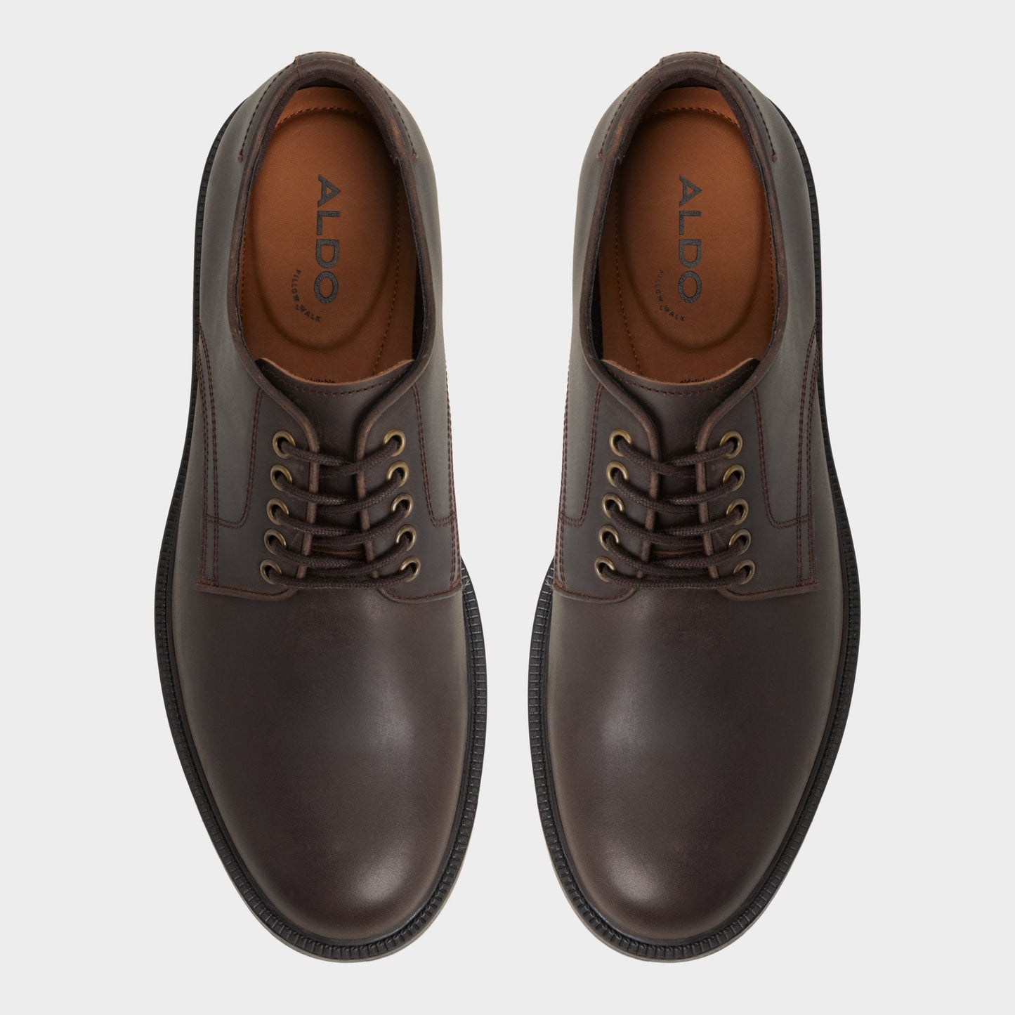 Aldo Geoff in Dark Brown - Derby shoe Men