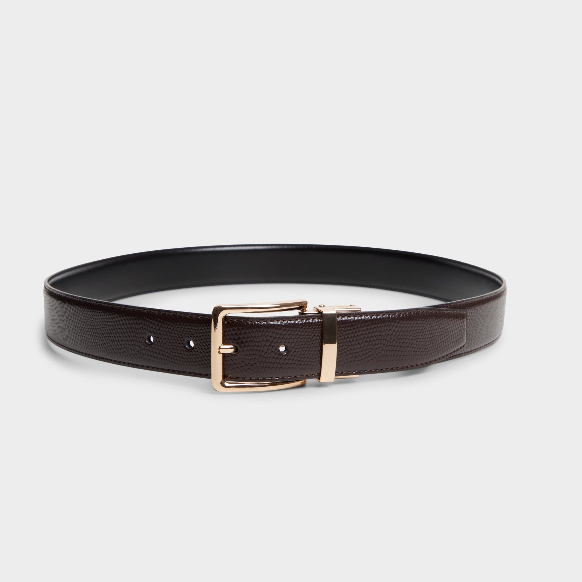 Aldo Nicholas in Dark Brown - Belt Men