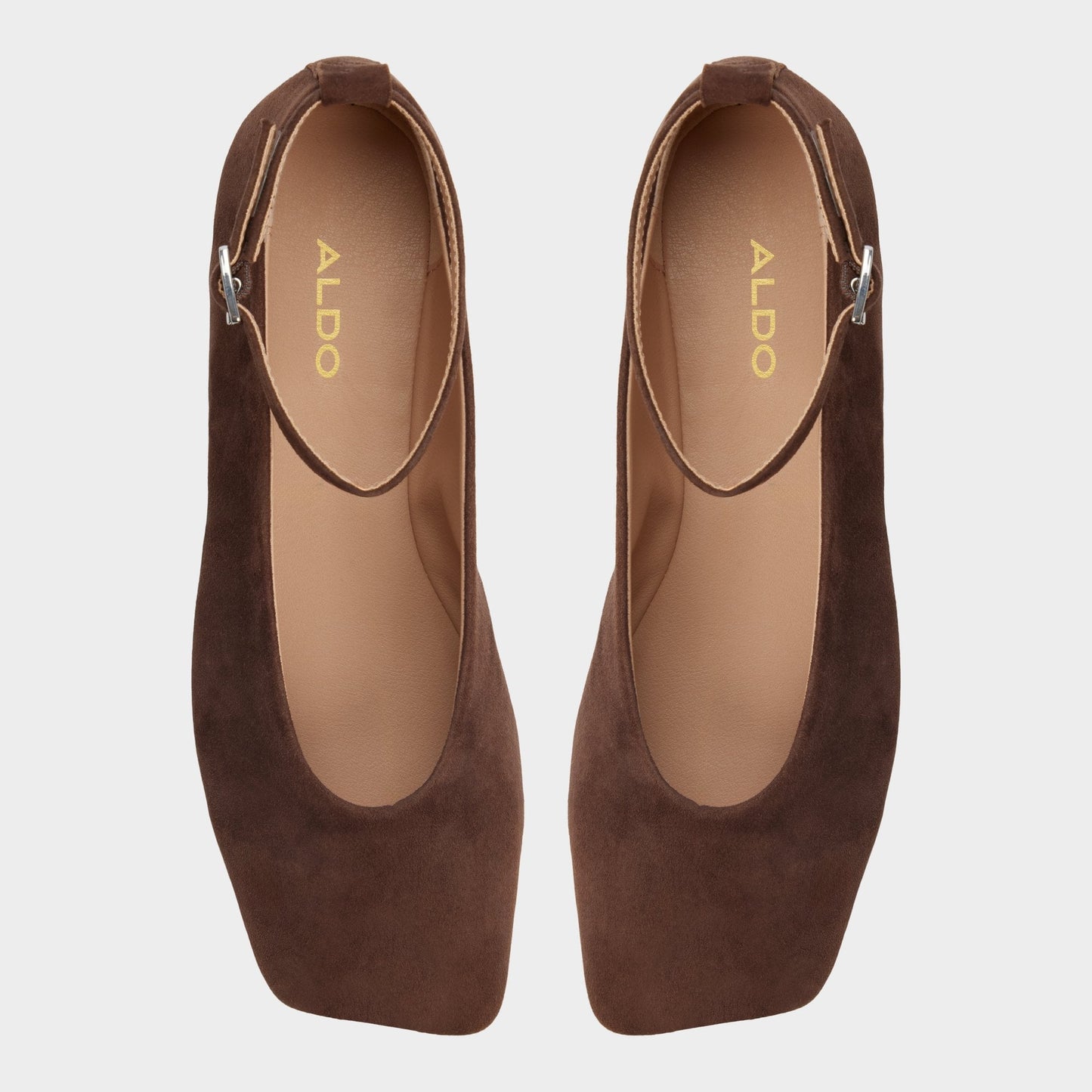 Aldo Beralalden in Dark Brown - Ballerina Bags