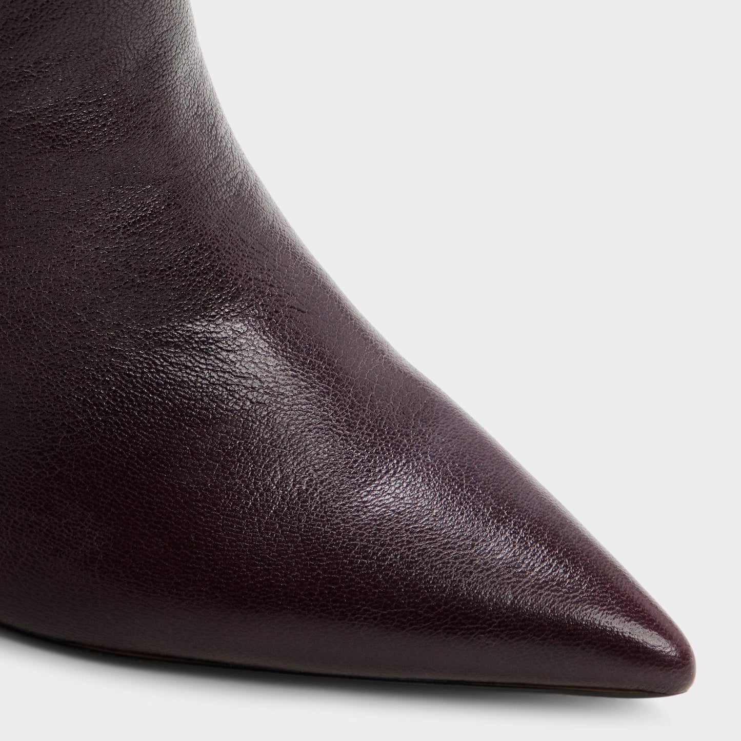 Aldo Holiis in Bordo - Knee-high boot, Stiletto heel Women|New